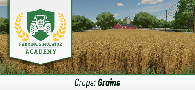 [Crops 101] How to Sow & Harvest Grains (Wheat, Sorghum, Barley, Oat, Canola, Soybeans)