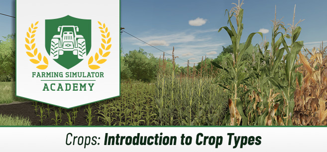 [Crops 101] Introduction to Crop Types: Overview