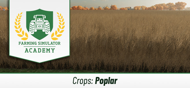 [Crops 101] How to Sow and Harvest Poplar