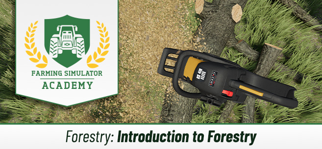 [Forstwirtschaft] Einführung Forstwirtschaft und Baumarten