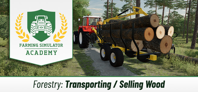 [Forestry 101] Transporting & Selling Wood via Trailer or Container