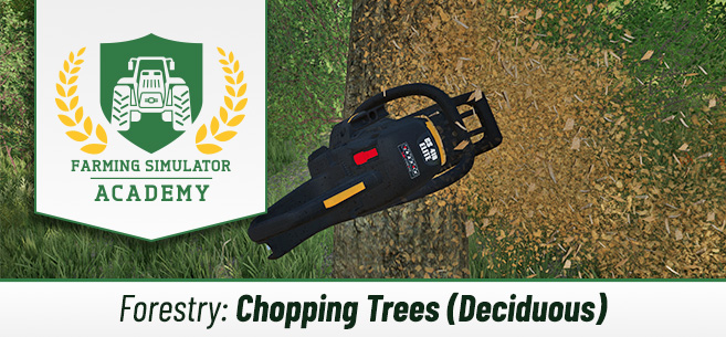 [Forestry 101] Chopping Down Deciduous Trees