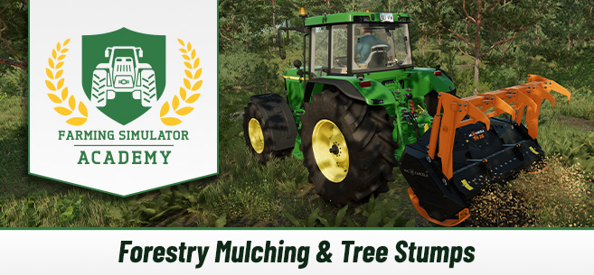[Forestry 101] Forestry Mulching & Tree Stumps