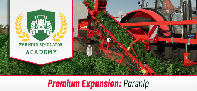 [Crops 101] How to Sow & Harvest Parsnips