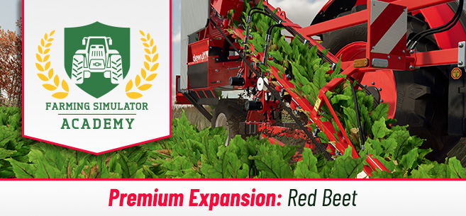 [Crops 101] How to Sow & Harvest Red Beet / Beetroot