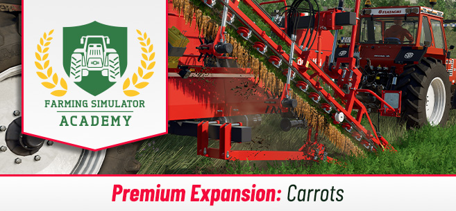 [Crops 101] How to Sow & Harvest Carrots