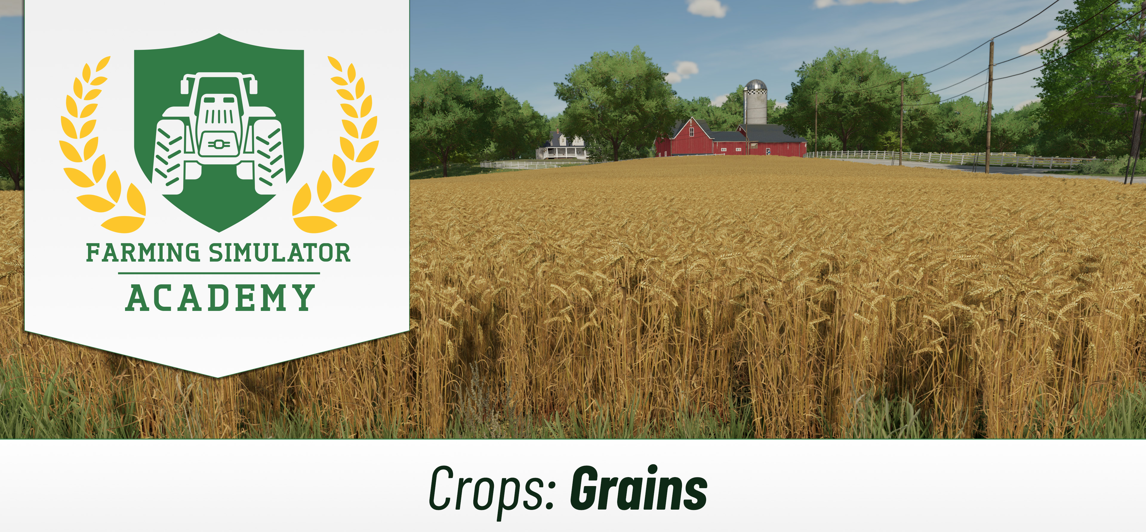 [Crops 101] How to Sow & Harvest Grains (Wheat, Sorghum, Barley, Oat, Canola, Soybeans)