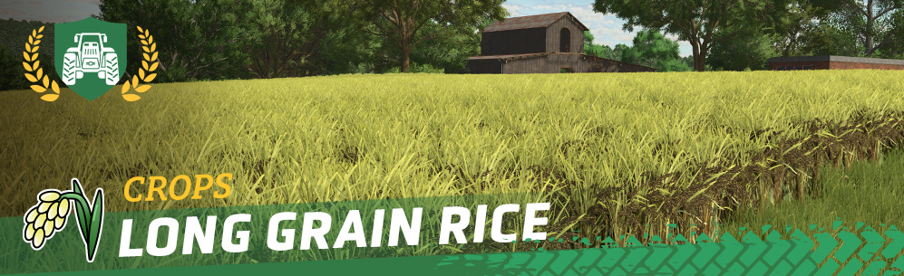 [Crops 101] How to Sow and Harvest Long Grain Rice