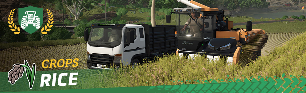 [Crops 101] How to Sow and Harvest Rice