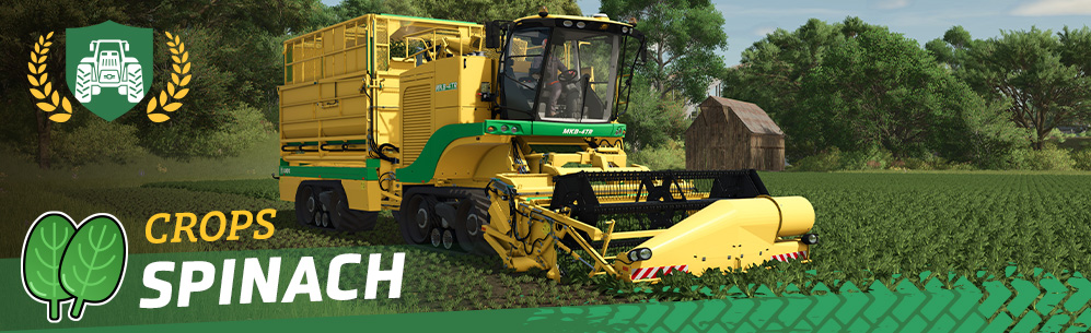 [Crops 101] How to Sow and Harvest Spinach