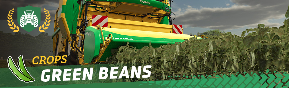 [Feldfrüchte] Anbau und Ernte von Buschbohnen