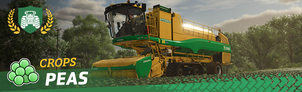 [Feldfrüchte] Anbau und Ernte von Erbsen