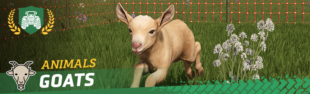 [Animal Tutorial] Goats: Housing, Feeding & Breeding﻿