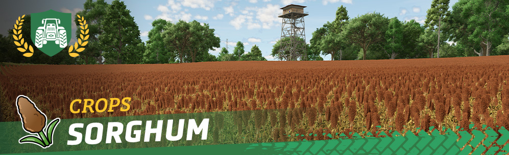 [Crops 101] Sorghum - How to sow and harvest
