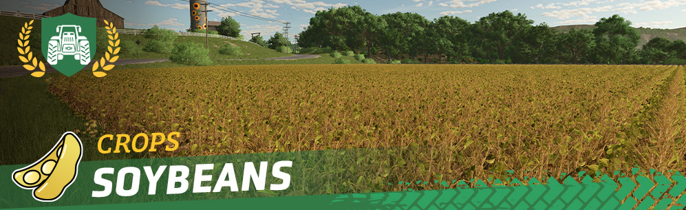 [Crops 101] Soybeans - How to sow and harvest